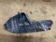 Lexus IS300 AVE30 RR Bumper Retainer Bracket