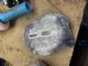 Toyota C-HR ZYX10 LF Door Actuator